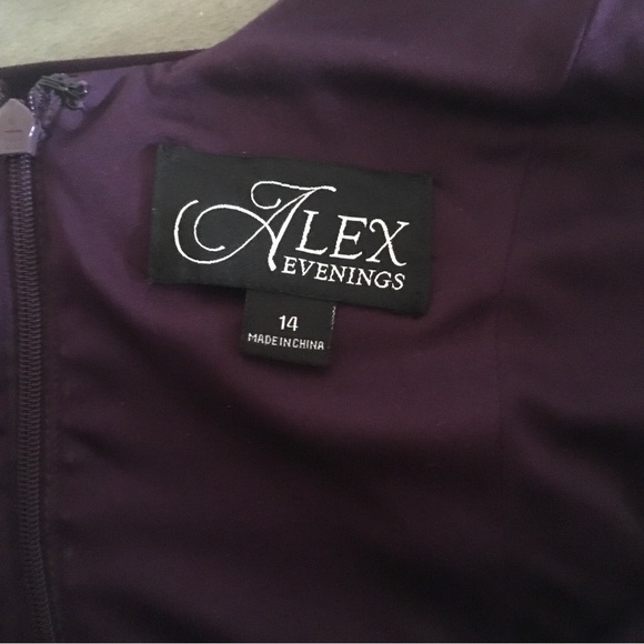 Gorgeous Royal Purple Evening Dress and Shawl - Picture 4 of 7